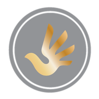 Human Right Policy (2)